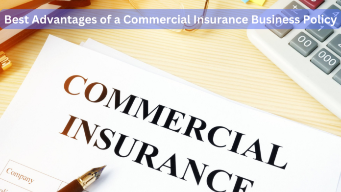 Commercial Insurance Business Policy